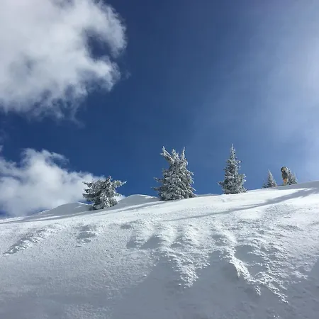 4you * Schladming